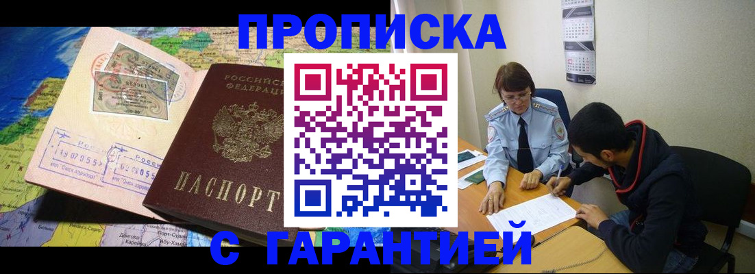 прописка в Курчалом