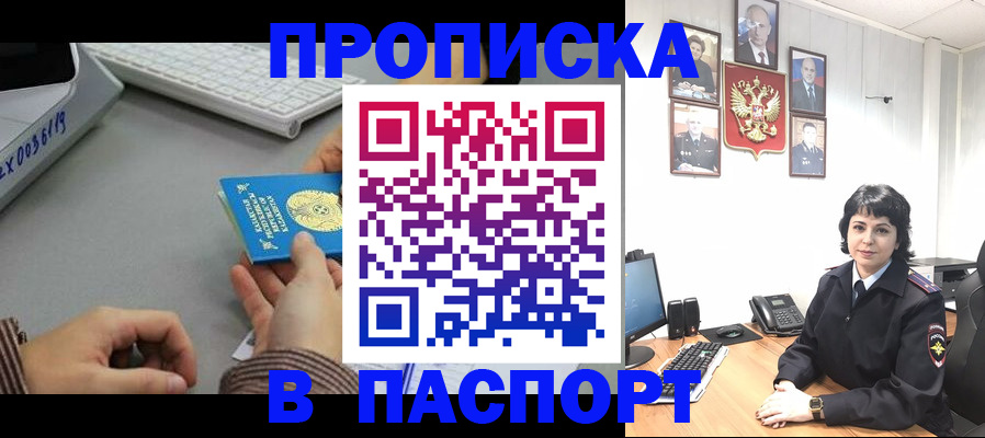 прописка в Курчалом