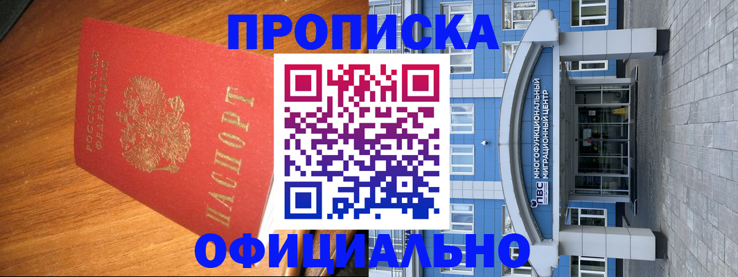 временная регистрация для школы в Курчалом